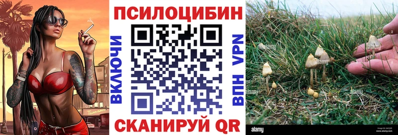 купить наркотик Новосиль Галлюциногенные грибы Psilocybine cubensis